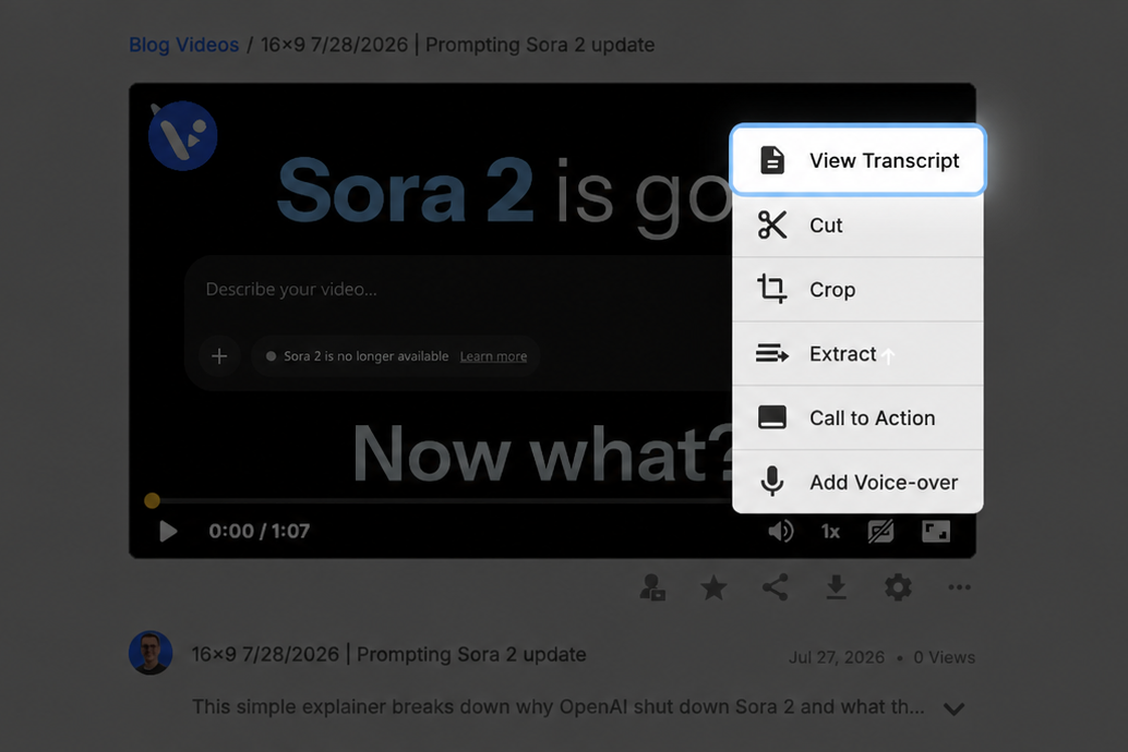 Video Transcription button beside a video in Visla.